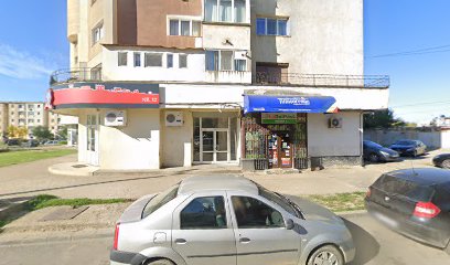 La doi paşi Bulevardul Regele Ferdinand nr.110A