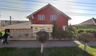 La doi pași Strada 1 Decembrie 50
