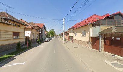 La garaj Strada Aurel Vlaicu 25