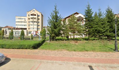 La lica Strada Nufărului