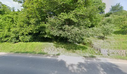 LaDoiPasi Strada Aurel Rainu 1