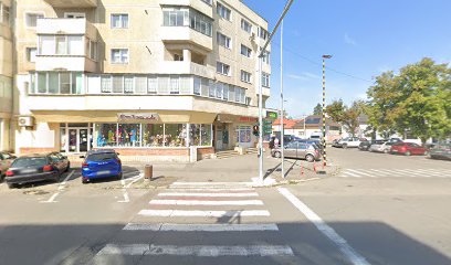 LaDoiPași Strada Teiului 21