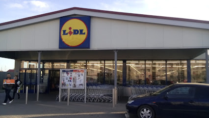 Lidl Aleea Teilor 35-37