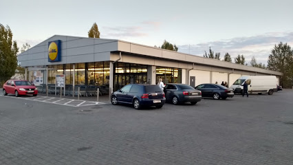 Lidl Bulevardul Tudor Vladimirescu 146