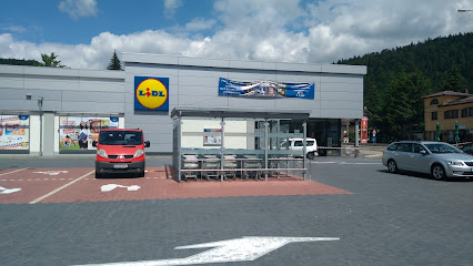 Lidl Bușteni Bulevardul Libertății