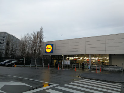 Lidl Șos. Morarilor 4