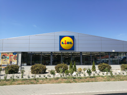 Lidl Str. Nicolae Titulescu 27