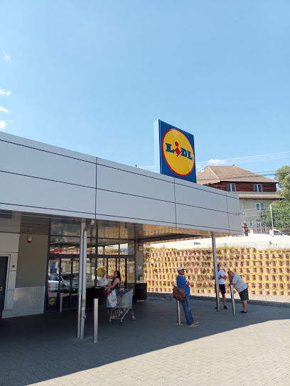 Lidl Strada Apalinei 1