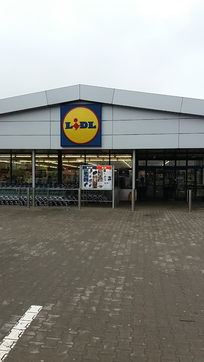 Lidl Strada Laminoriştilor 94