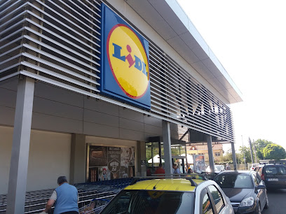 Lidl Strada Traian 44