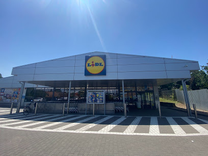 Lidl Strada Transilvaniei 99-103