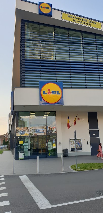 Lidl Strada Tudor Vladimirescu 10