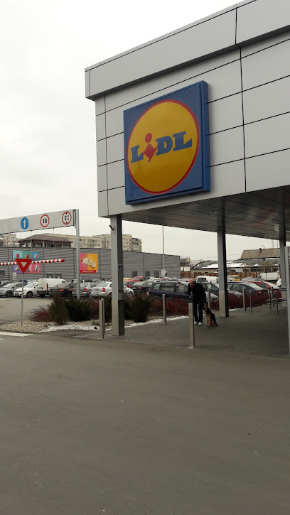 Lidl Strada Valea Cascadelor 3-5