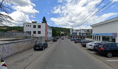 Loteria Română Orșova 225200