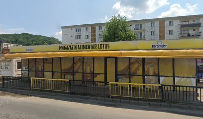 Lotus Str. Mihai Viteazu