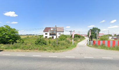 MASLENRO SRL Ţiglă Metalică NADALC Calea Aradului nr. 6/A