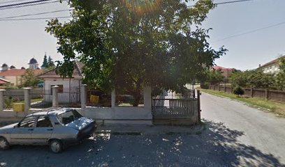 MEŞTEŞUGARUL S.C.M. Strada Parcului 2