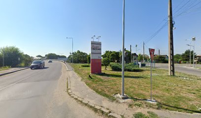 MGC Topoloveni Strada Maximilian Popovici nr. 6