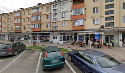 Magazin 20% Brad 335200