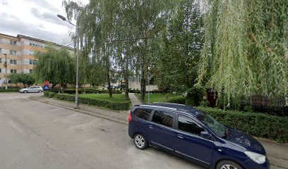 Magazin Alimentar Curtea de Argeș 115300