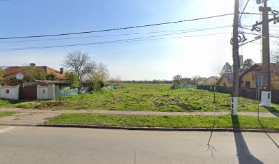 Magazin Ana și Cornel Strada Unirii 19