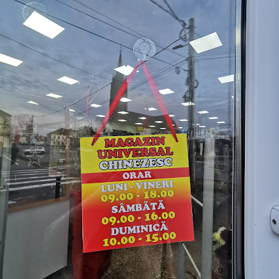 Magazin Chinezesc Strada 339 4