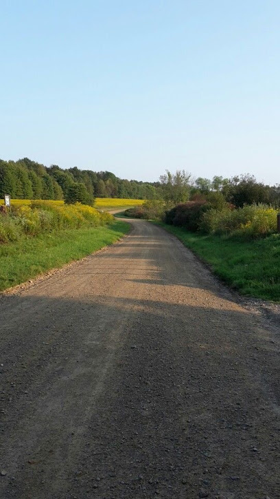 Magazin Mix Strada Văleni 3