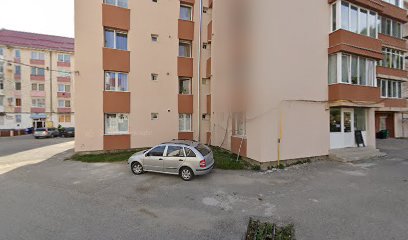 Magazin Mixt Bălan 535200
