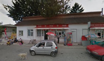 Magazin Mixt Strada Constanței