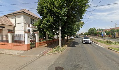 Magazin Mixt Strada Platanilor 19-1