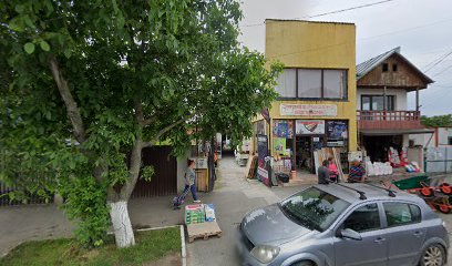 Magazin Str. Tudor Vladimirescu 348