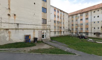 Magazin Strada Florilor 10