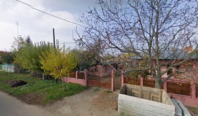 Magazin alimentar Strada Cătunului nr 150