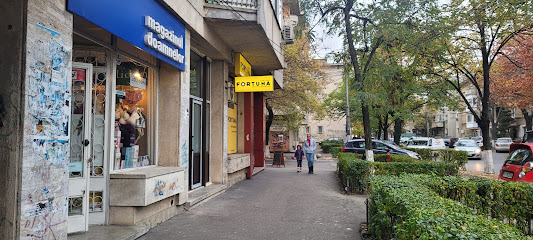Magazinul Doamnelor Strada Erou Calin Catalin 10