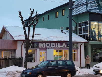 Magazinul Meșterul Strada Ștefan cel Mare 242