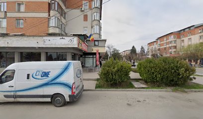 Malina Strada Ion Creangă 5-16