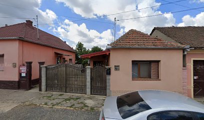 Mărioara Făgețan I.I.- Magazin mixt Strada Mihai Viteazul 74