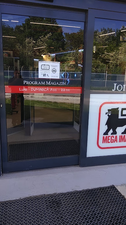 Mega Image Joița DJ602 5-3