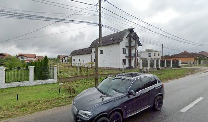 Metacom Strada Dumbrava 1