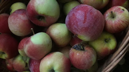 Mini Market Af Gaga Maria Strada Liviu Doru Bindea 260