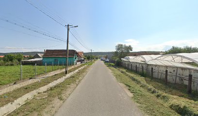 Mire-ion Strada Podgoriei