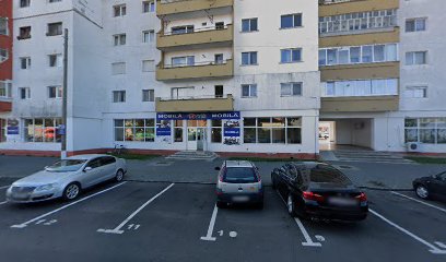 Mobila Acasă Strada Câmpului Nou 11
