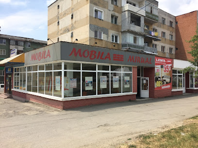 Mobila Mirual Motru StradaTismanei
