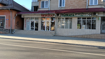 Monisa Strada Andrei Șaguna 7-1