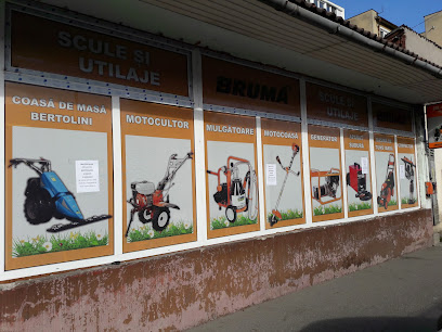 Motoutilaje Salonta ( Brumă ) Salonta