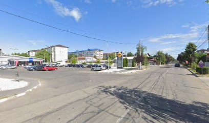 NICE COM Str. Grigorescu Nicolae