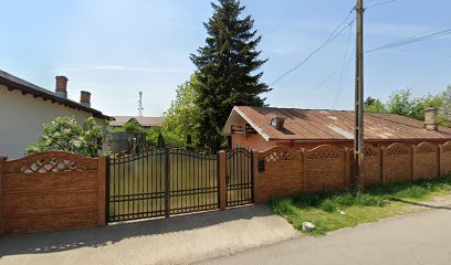 NICOL S.R.L. Strada Prunilor 3