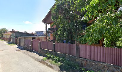 Naru romania Aleea Motrului