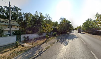 Nesco Impex Mogoșoaia