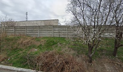 Nordic Ovidiu Ovidiu 905900